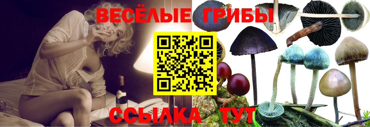 Галлюциногенные грибы Magic Shrooms  Вход с VPN  Десногорск 