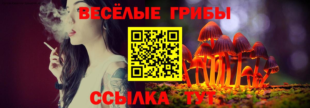 Галлюциногенные грибы Cubensis Десногорск